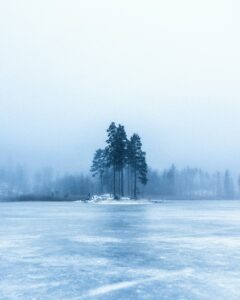 Le Grand Hiver de 1709 : glace, famine et chaos  - Europe Famine Histoire Hiver
