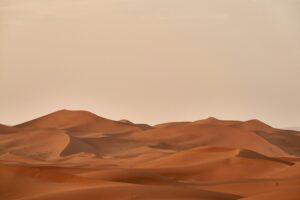 50 000 km sans moteur : quand le d&eacute;fi devient le&ccedil;on  - Initiatives Insolite Mongolie Patience Tour du monde