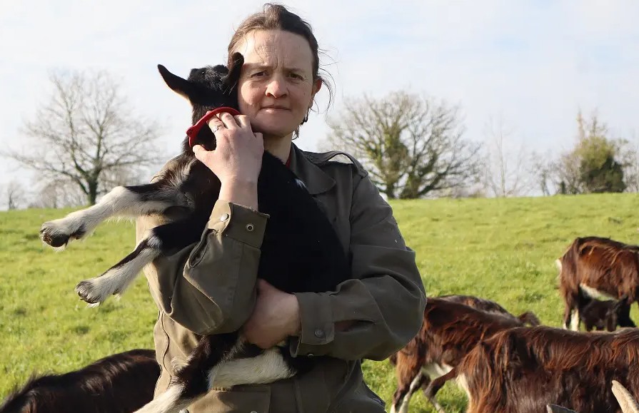 Plan RSA brutal dans le Finist&egrave;re : des paysan&middot;nes pr&eacute;f&egrave;rent renoncer que sombrer  - Affaire Agriculture Conditions de travail D&eacute;pression Finist&egrave;re Fromage Justice Pauvret&eacute; Pr&eacute;carit&eacute; Psychologie RSA Sant&eacute; Sant&eacute; mentale T&eacute;moignage Travail