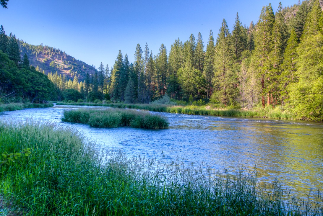 Apr&egrave;s un si&egrave;cle d&rsquo;absence (et des barrages ras&eacute;s) les saumons sauvages reviennent en force dans leur rivi&egrave;re  - Biodiversit&eacute; Californie Peuples autochtones Poisson Saumons