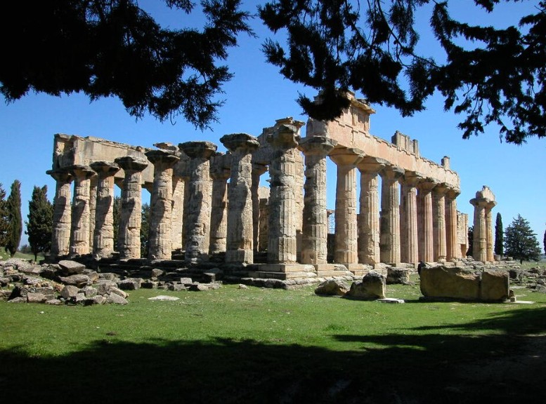 Le silphium, la plante myst&eacute;rieuse que les Romains ont ador&eacute;e puis perdue  - Antiquit&eacute; Botanique Gr&egrave;ce Histoire M&eacute;decine M&eacute;moire Plantes Rome antique Silphium