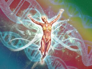 L'humain, ce gros OGM fa&ccedil;onn&eacute; par les microbes  - ADN Bact&eacute;ries Biodiversit&eacute; Biologie D&eacute;couverte scientifique &Eacute;volution G&eacute;n&eacute;tique Immunit&eacute; Mammif&egrave;res Microbes Mitochondries Nature OGM Organismes g&eacute;n&eacute;tiquement modifi&eacute;s Placenta Recherche scientifique Sant&eacute; Science Sciences Syncytines Virus
