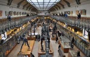 Un milliard pour sauver le Mus&eacute;um national d&rsquo;Histoire naturelle  - Biologie Budget &Eacute;cologie Mus&eacute;um national d'histoire naturelle (MNHN) Patrimoine Recherche scientifique Science Sciences