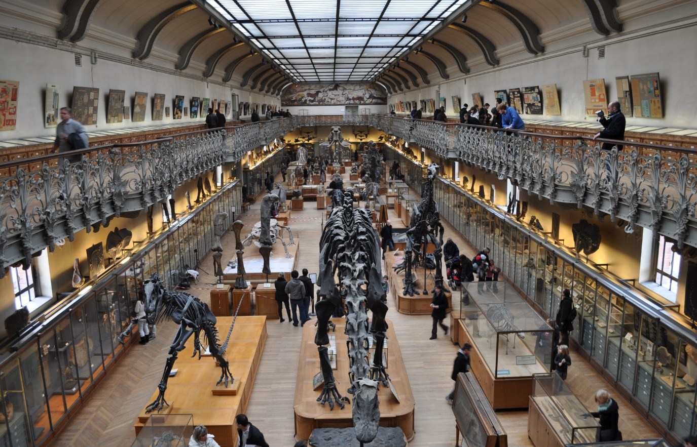 Un milliard pour sauver le Mus&eacute;um national d&rsquo;Histoire naturelle  - Biologie Budget &Eacute;cologie Mus&eacute;um national d'histoire naturelle (MNHN) Patrimoine Recherche scientifique Science Sciences