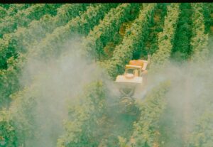 Exposition des riverains aux pesticides&nbsp;: le minist&egrave;re de l&rsquo;Agriculture d&eacute;bout&eacute; par le Conseil d&rsquo;&Eacute;tat  - Agriculture &Eacute;cologie Environnement G&eacute;n&eacute;rations Futures Gouvernement Initiatives Justice Lutte environnementale Pesticides Pollution Produits phytopharmaceutiques Produits phytosanitaires Sant&eacute; Sant&eacute; publique