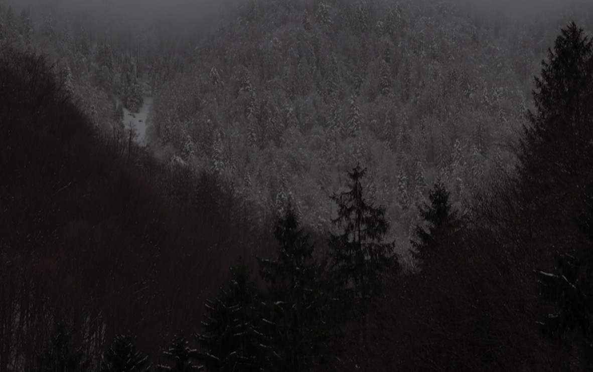 Soldats ukrainiens : la grande &eacute;vasion, au sommet du d&eacute;sespoir  - Arm&eacute;e Crimes de guerre Drones Europe Guerres Roumanie Russie Ukraine Vid&eacute;o