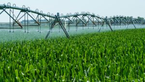 Irrigation, biodiversit&eacute;, &eacute;levage&nbsp;: la face cach&eacute;e du projet de loi d'urgence agricole  - Agriculture Biodiversit&eacute; Eau Eau du robinet Eau potable &Eacute;cologie France Nature Environnement Irrigation Lois Nature Pesticides PFAS Pollution Sant&eacute; Zones humides