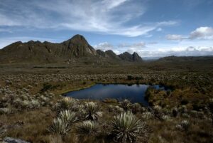 Colombie : la lutte pour sauver l&rsquo;eau avant qu&rsquo;elle disparaisse  - Agriculture Biodiversit&eacute; Colombie &Eacute;cologie Environnement Glaciers Incendies Irrigation Lutte environnementale Nature Plantes Zones humides