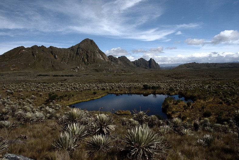 Colombie : la lutte pour sauver l&rsquo;eau avant qu&rsquo;elle disparaisse  - Agriculture Biodiversit&eacute; Colombie &Eacute;cologie Environnement Glaciers Incendies Irrigation Lutte environnementale Nature Plantes Zones humides