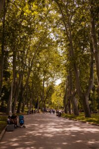 &laquo;&nbsp;Refuges climatiques&nbsp;&raquo;&nbsp;: l&rsquo;Espagne est devenue une r&eacute;f&eacute;rence mondiale  - Barcelone Changement climatique Climat Espagne Sant&eacute; Sant&eacute; publique Urbanisme Villes