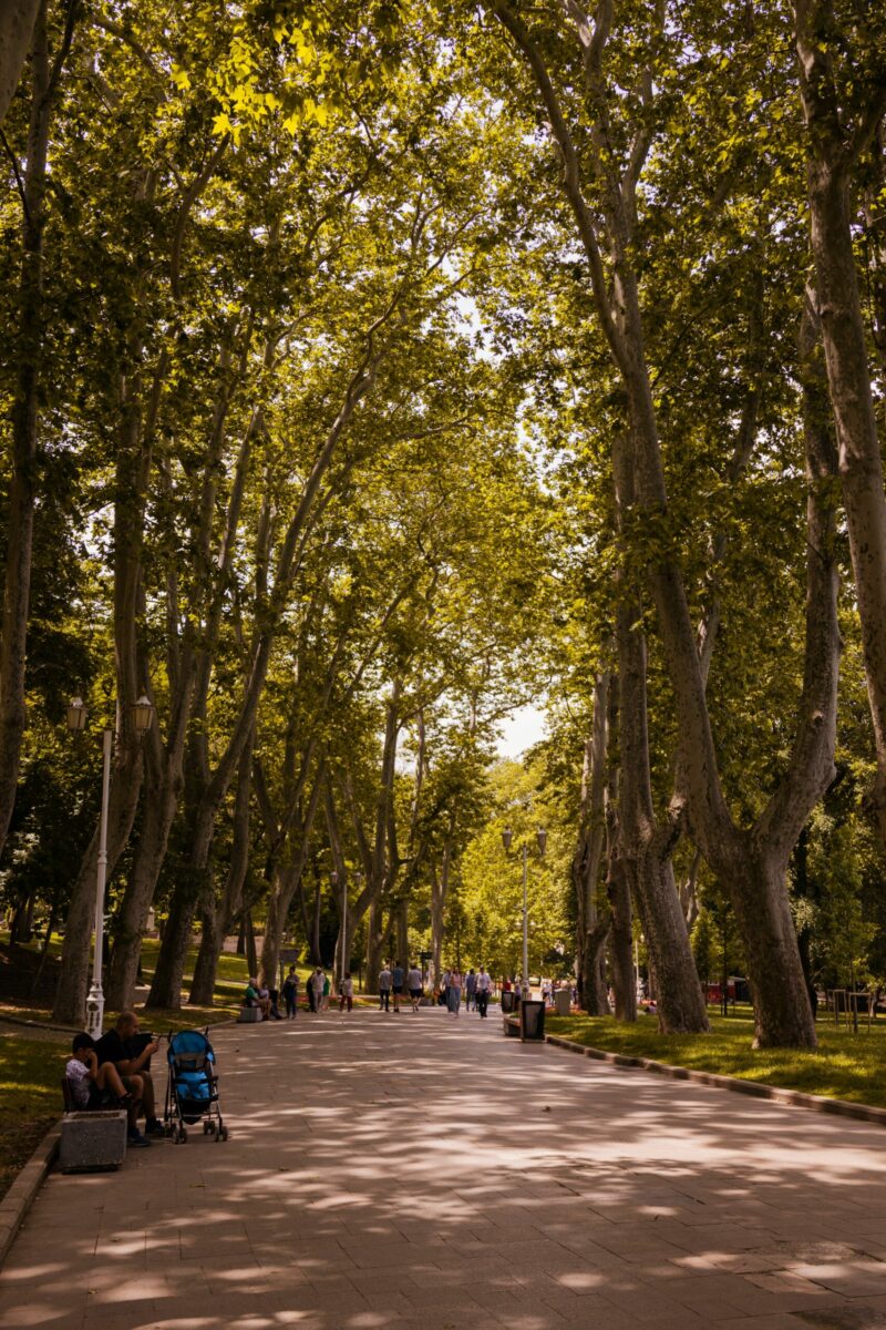 &laquo;&nbsp;Refuges climatiques&nbsp;&raquo;&nbsp;: l&rsquo;Espagne est devenue une r&eacute;f&eacute;rence mondiale  - Barcelone Changement climatique Climat Espagne Sant&eacute; Sant&eacute; publique Urbanisme Villes