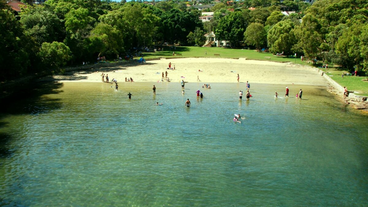 Allemagne&nbsp;: un lieu de baignade interdit aux non-germanophones  - Allemagne Alternative f&uuml;r Deutschland (AfD) Immigration Langues Piscine Racisme
