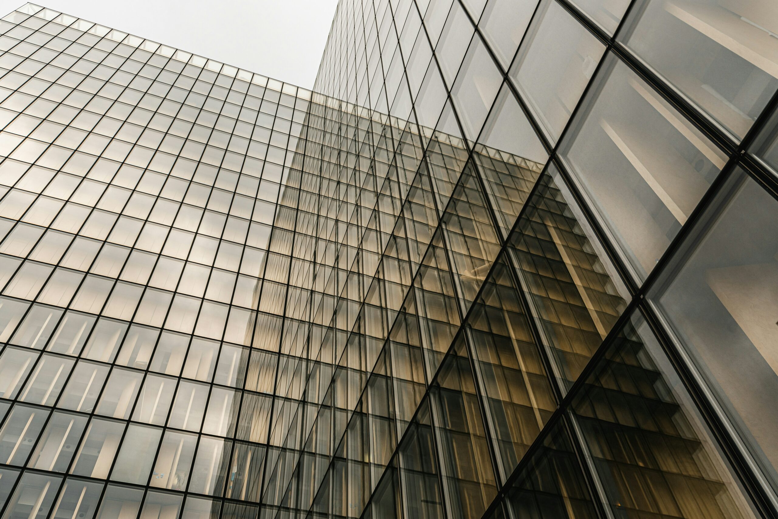 Canicule&nbsp;: la BnF d&eacute;bord&eacute;e par l&rsquo;afflux de &laquo;&nbsp;r&eacute;fugi&eacute;s climatiques&nbsp;&raquo;  - Biblioth&egrave;que nationale de France (BnF) Canicule Changement climatique &Eacute;tudiants In&eacute;galit&eacute;s Logement Paris Pr&eacute;carit&eacute; Sant&eacute; publique Service public