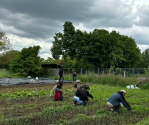 Une ferme agroécologique de 17 ha menac&eacute;e : l&rsquo;association A4 tente de la sauver  - Action environnementale Agriculture Associations Discrimination &Eacute;cologie Environnement &Icirc;le-de-France Immigration Lutte environnementale Migrations Racisme Travail