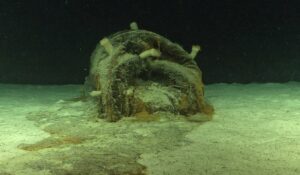 Au fond de l&rsquo;oc&eacute;an, les f&ucirc;ts radioactifs se d&eacute;litent  - CNRS D&eacute;chets &Eacute;cologie Environnement F&ucirc;ts radioactifs Nucl&eacute;aire Oc&eacute;an atlantique Oc&eacute;ans Pollution Radioactivit&eacute; Recherche scientifique Sant&eacute; publique Science Sciences
