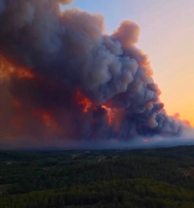 D&eacute;broussailler les for&ecirc;ts : le rem&egrave;de m&eacute;diatique qui nourrit la s&eacute;cheresse, donc les feux  - Action environnementale Agriculture Arbres Biodiversit&eacute; Changement climatique Climat D&eacute;broussaillage D&eacute;forestation &Eacute;cologie Environnement For&ecirc;ts Gironde Incendies Lutte environnementale S&eacute;cheresse Sols Sols vivants