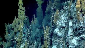 502 millions de g&egrave;nes recens&eacute;s dans les abysses, dont la moiti&eacute; est inconnue  - ADN Bact&eacute;ries Biodiversit&eacute; Biologie D&eacute;couverte scientifique G&eacute;n&eacute;tique Micro-organisme Microbes Oc&eacute;ans Recherche scientifique Science Sciences
