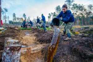 En Allemagne, des milliers de b&eacute;n&eacute;voles au chevet des for&ecirc;ts  - Action environnementale Allemagne Arbres Associations Biodiversit&eacute; Climat &Eacute;cologie Environnement For&ecirc;ts Initiatives Lutte environnementale Travail Vacances