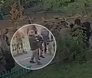 &Agrave; Kiev, la guerre secr&egrave;te des services ukrainiens d&eacute;g&eacute;n&egrave;re en fusillade  - Espionnage Renseignement Services secrets Ukraine Volodymyr Zelensky