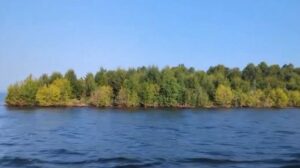 Au Canada, le myst&eacute;rieux voyage d&rsquo;une &icirc;le flottante couverte d&rsquo;arbres  - Arbres Biodiversit&eacute; Canada &Eacute;cologie Environnement For&ecirc;ts &Icirc;les Nature Plantes Rivi&egrave;res Satellites
