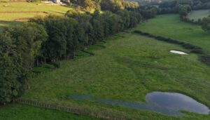 En C&ocirc;te-d&rsquo;Or, les zones humides sauvent les prairies de la s&eacute;cheresse  - Agriculture Biodiversit&eacute; Biologie Eau Eau potable &Eacute;cologie &Eacute;levage Environnement Fleuves Grenouille Haies Insectes Irrigation Nappes phr&eacute;atiques Nature Rivi&egrave;res S&eacute;cheresse Sols Sols vivants Vaches Zones humides