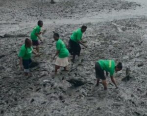 Au Nigeria, des femmes restaurent le delta du Niger  - Arbres Associations Biodiversit&eacute; &Eacute;cologie Environnement Femmes For&ecirc;ts Initiatives Lutte environnementale Nigeria P&ecirc;che Poisson Pollution Rivi&egrave;res Zones humides