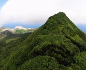 De d&eacute;sert volcanique &agrave; for&ecirc;t humide : la transformation de l&rsquo;&icirc;le de l&rsquo;Ascension  - Animaux Biodiversit&eacute; Biologie Botanique Charles Darwin D&eacute;tente &Eacute;cologie Environnement For&ecirc;ts &Icirc;le de l&rsquo;Ascension &Icirc;les Initiatives Nature Nuages Pluie