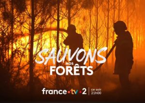 &laquo;&nbsp;Sauvons nos for&ecirc;ts&nbsp;&raquo;&nbsp;: des flammes, des larmes et z&eacute;ro solution, l&rsquo;&eacute;cologie selon France 2  - Associations Biodiversit&eacute; Biologie D&eacute;forestation D&eacute;sinformation &Eacute;cologie Environnement For&ecirc;ts Incendies Journalisme Lutte environnementale Manipulation des m&eacute;dias M&eacute;dias Politique