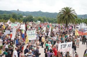 202 communes refusent la coupe des for&ecirc;ts pour faire des carburants pour avions  - Arbres Aviation Biocarburants Biodiversit&eacute; Bio&eacute;thanol &Eacute;cologie Environnement For&ecirc;ts Lutte environnementale