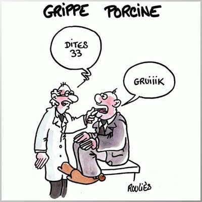 grippe mexicaine - grippe porcine